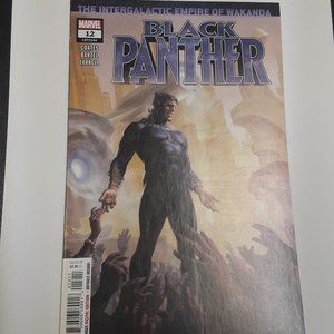 BLACK PANTHER #12 (2018 SERIES) WRITTEN BY TA-NEHISI COATES ART  BY JEN BARTEL